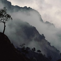 Every Breath You Take