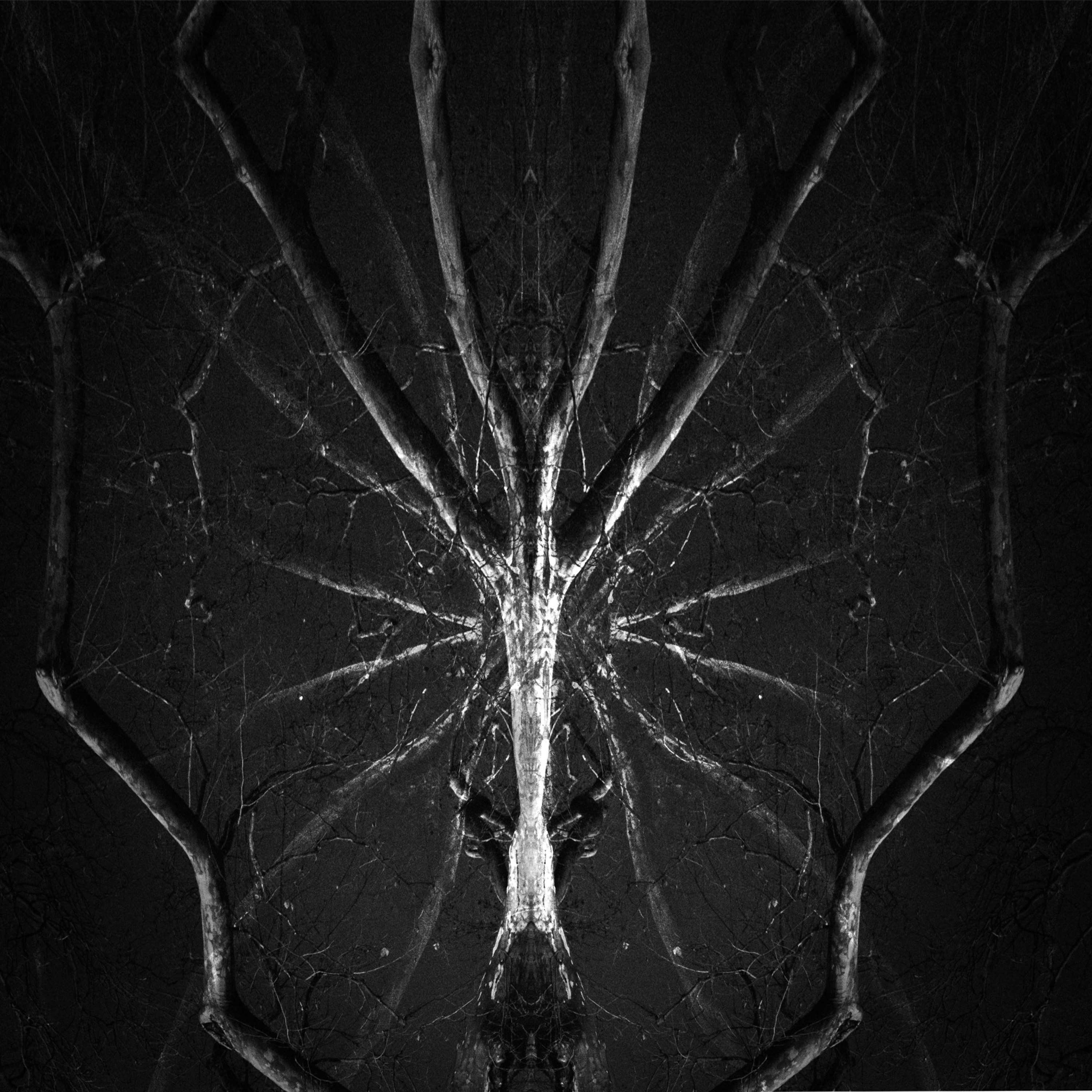 verstaerkers art of noise