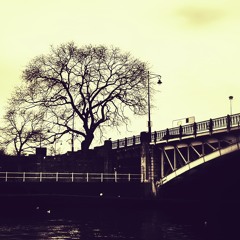 Le Cirque à Namur  2018