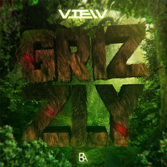 VIEW - Grizzly