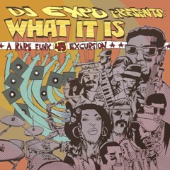 "WHAT IT IS" - A Rare Funk 45 Excursion