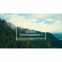 Quranic Contemplations