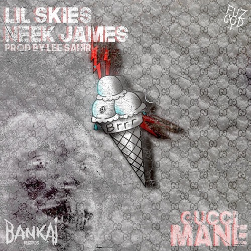 LIL SKIES & NEEK JAME$ - GUCCI MANE