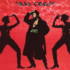 Seal - Crazy (Cambo's Slice & Reconstruct Mix)