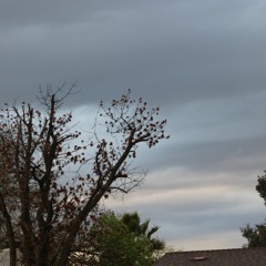 NtgG (Feat. Vicko6 & GFlack0 Du Plug)