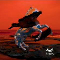 What So Not - Divide & Conquer (Teven High Remix)