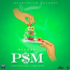 NeeQah - P.S.M (Professional Side Man)