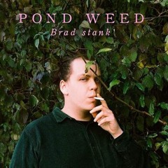 Brad Stank - Pond Weed