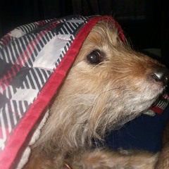 I just can't figure it out!! Ft darwin miranda(freestyle