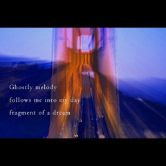 Into my day [Naviarhaiku222]