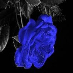 Wishing I Felt Alive - The Real AK (ft. Killa G x Yung C)