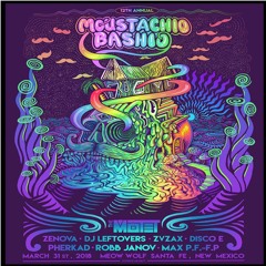 Moustachio Bashio Set 3/31/18 @ Meow Wolf-Santa Fe, NM