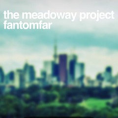 Project Meadow