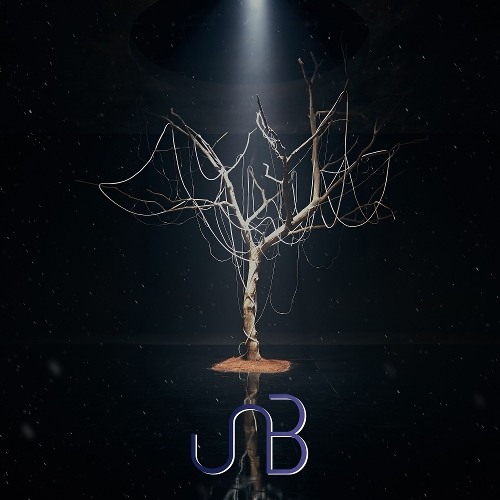 UNB - 감각 (FEELING) (JOSHUA MOORE G. REMIX)