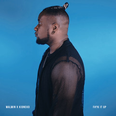 WALWIN x Kidneko - Fuck it Up