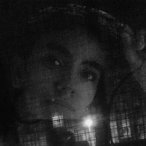 الدنيا اشكال والوان