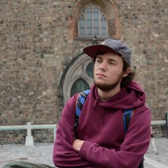 Sherlock Flows - Kirschblütenbestäubung
