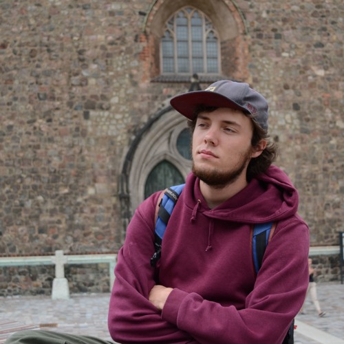 Sherlock Flows - Kirschblütenbestäubung