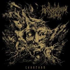 Новый рассвет (New Dawn)