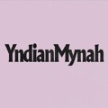YNDIAN&#x20;MYNAH Steady&#x20;Goes Artwork