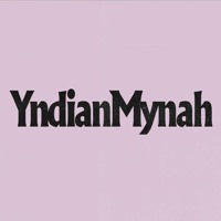 YNDIAN MYNAH - Steady Goes