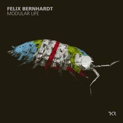 Felix Bernhardt - Plasma Pipes (Original Mix)
