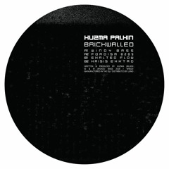 Kuzma Palkin - Brickwalled EP (12")