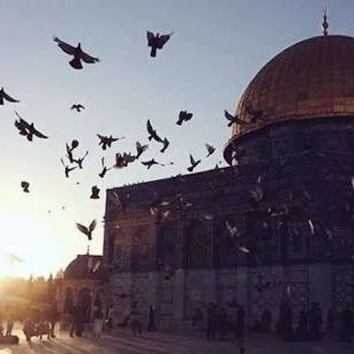 فلسطين عربيه 👑 - اصاله