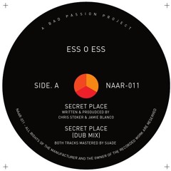 Take You To A Seret Place (Dub Version)