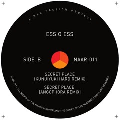 Take You To A Seret Place (Kuniyuki Remix 02 Heavy)