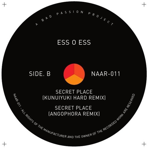 Take You To A Seret Place (Angophora Remix)