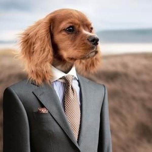 Anjing Kacili Dj Bassgilano Mesta Nestos