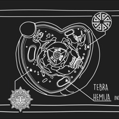Tebra - Hemija (Original Mix) SAMPLE