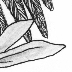 Sets and Podcasts