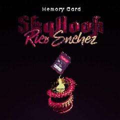 Rico Snchez + $kyhook [ Memory Card ]