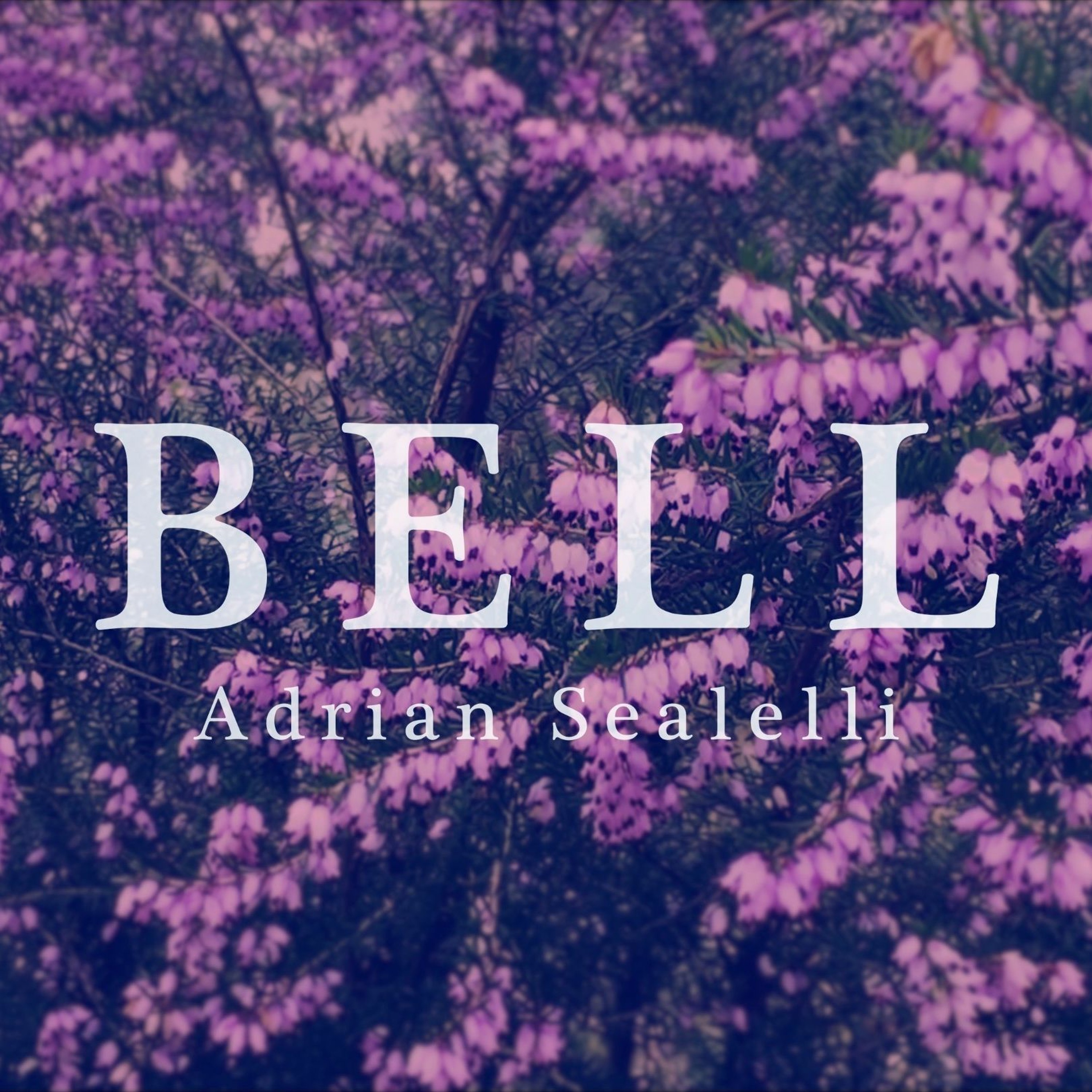 Adrian Sealelli