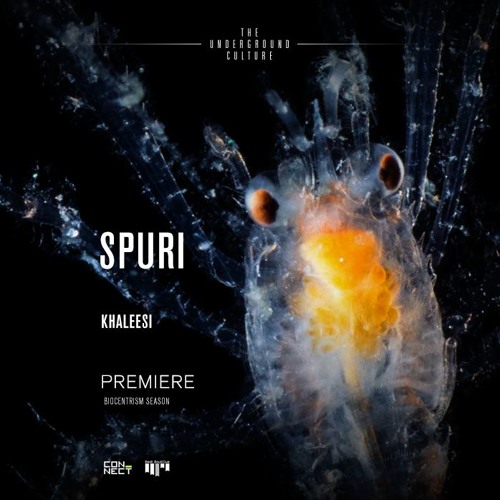PREMIERE: Spuri - Khaleesi (Original Mix) [Beat Boutique]