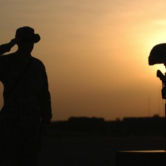 :.STBB#579.The.Fallen.Soldier.: