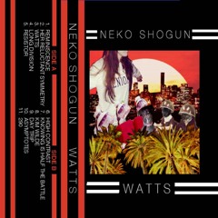 N E K O S H O G U N - Resistor