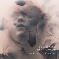 We All Know Ft Limore (Original Mix)