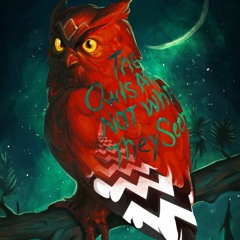 The Owls Are Not What They Seem