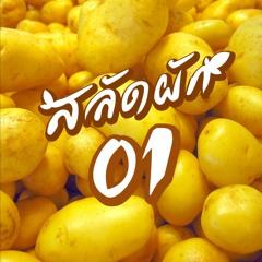 รวมรายการโดยทีม #หลัดผัก