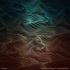 d_func. - Diagonal Feedback (Maral Salmassi Remix)