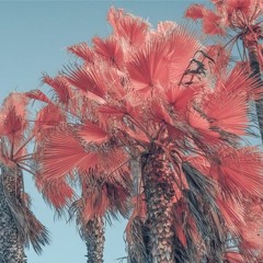 Z Radio 010 - Anthony Zmoda Deep House Yoga Therapy Session Six