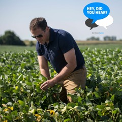 Hey, did you hear about all those tariffs?