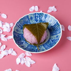 miku yo - mochi
