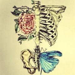 Reflection by ms edwin