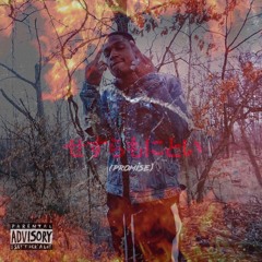 Promise prod. by murda beatz