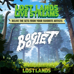 Boogie T Live @ Lost Lands 2017