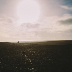 Lupine (Ambient, Minimal, Instrumental)